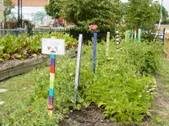 Enlarge photo 59