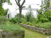Enlarge photo 61