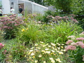 Enlarge photo 63