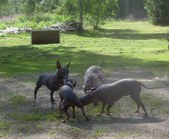 Enlarge photo 4