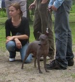 Enlarge photo 13
