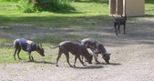 Enlarge photo 16
