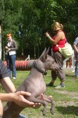Enlarge photo 19