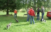 Enlarge photo 22