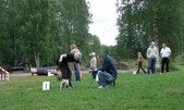 Enlarge photo 17