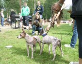Enlarge photo 10