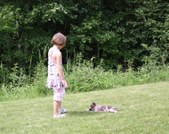 Enlarge photo 18