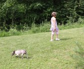 Enlarge photo 19