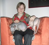 Enlarge photo 8