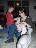 Enlarge photo 19