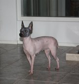 Enlarge photo 3