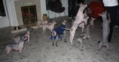 Enlarge photo 14