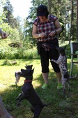 Enlarge photo 7