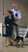 Enlarge photo 17