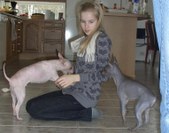 Enlarge photo 22