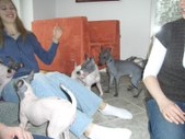 Enlarge photo 9