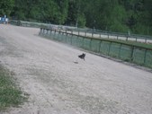 Enlarge photo 14