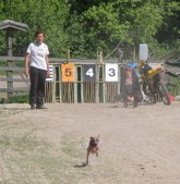 Enlarge photo 9
