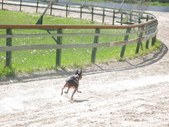 Enlarge photo 13