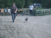 Enlarge photo 17