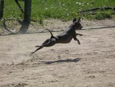 Enlarge photo 10