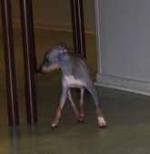 Enlarge photo 7