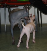 Enlarge photo 12