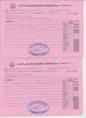 Enlarge PDF 17
