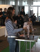 Enlarge photo 5