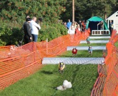 Enlarge photo 19