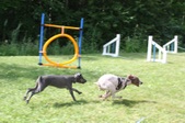 Enlarge photo 4