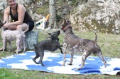 Enlarge photo 13