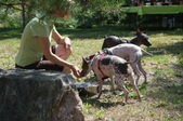 Enlarge photo 21