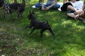Enlarge photo 22