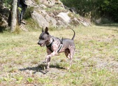 Enlarge photo 23