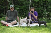 Enlarge photo 7