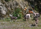 Enlarge photo 8