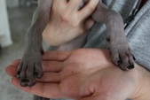 Enlarge photo 10