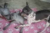 Enlarge photo 19