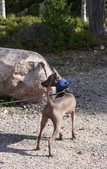 Enlarge photo 2