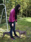 Enlarge photo 6