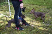 Enlarge photo 7