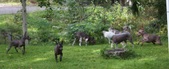 Enlarge photo 13
