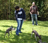Enlarge photo 15