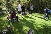 Enlarge photo 16
