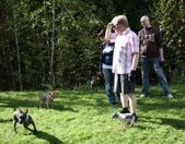 Enlarge photo 17