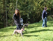 Enlarge photo 21