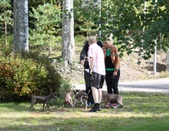 Enlarge photo 22