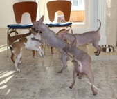 Enlarge photo 12