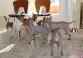 Enlarge photo 13